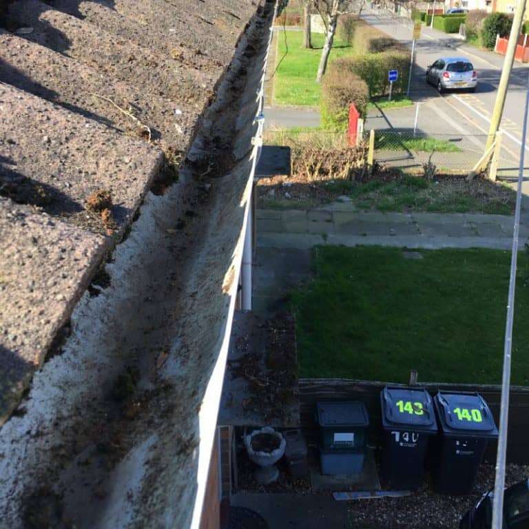 Spotless Gutter Results