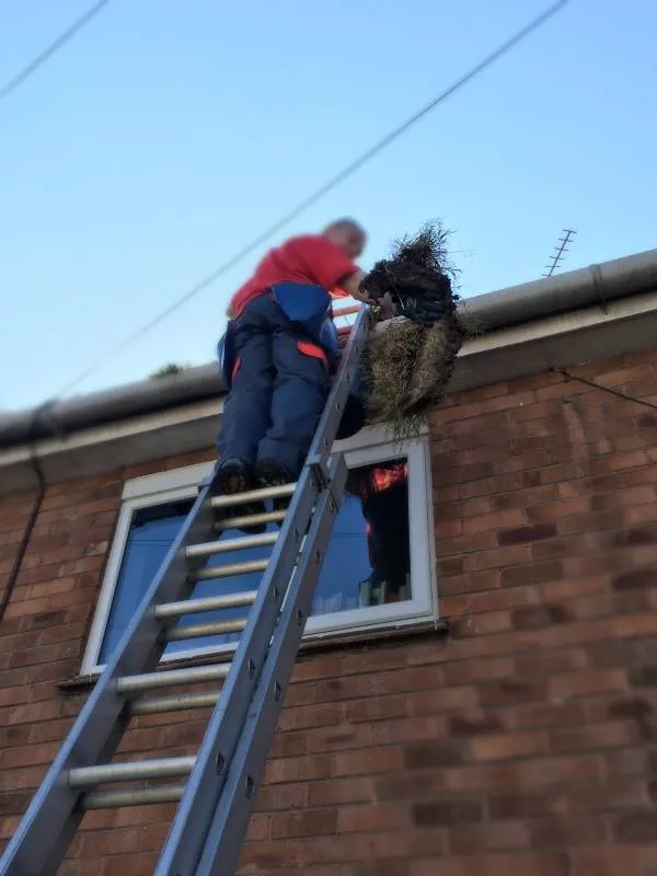 Residential Gutter Maintenance