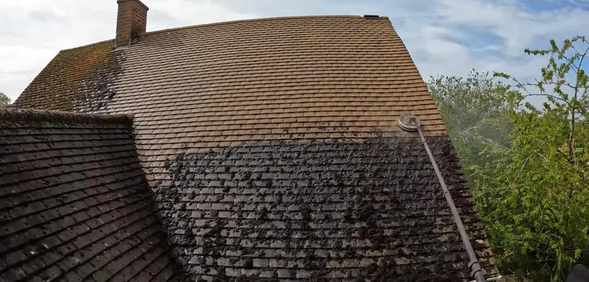 Moss Removal from Roof